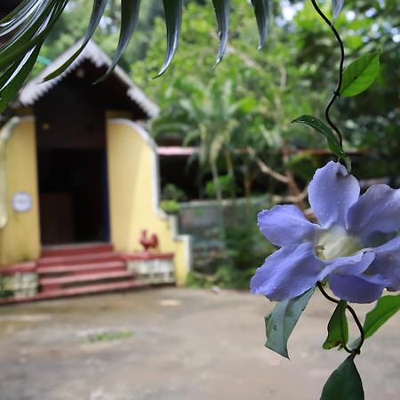 Phoenix Castle House Palolem Canacona Luaran gambar